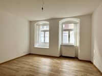 Wohn-/Schlafzimmer